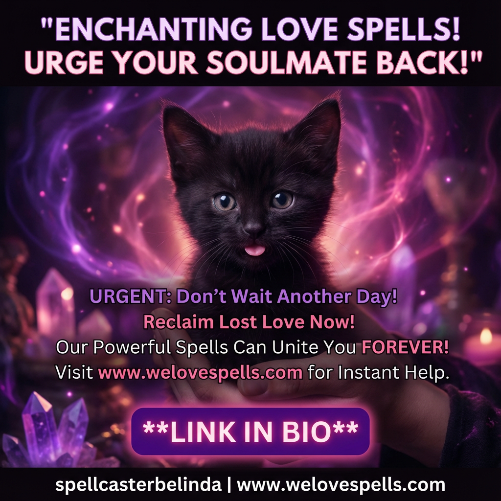 Meet Little Salem: Our Magical Black Kitten Joins Mama Luna’s Home