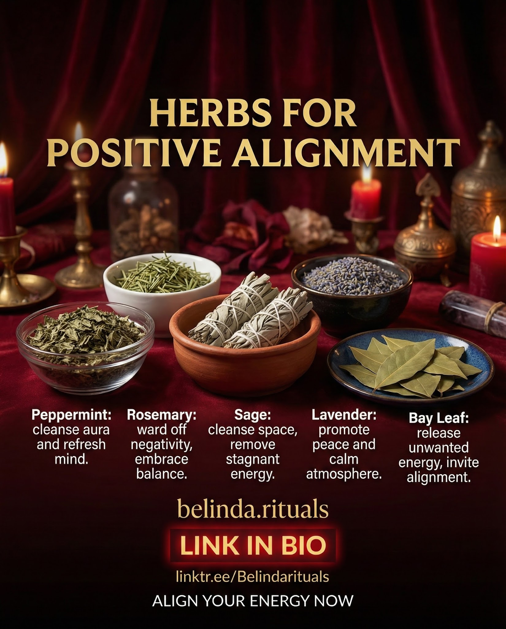 Harnessing Positivity with Magickal Herbs for Energy Cleansing