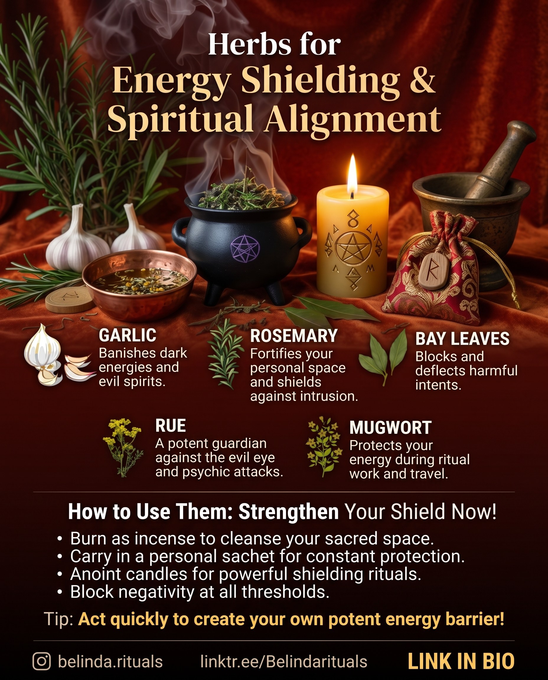 Powerful Protection Herbs: Natural Shields Against Negative Energy