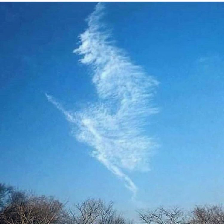 Feeling the Samhain Energy: Embracing Autumn’s Magical Vibes