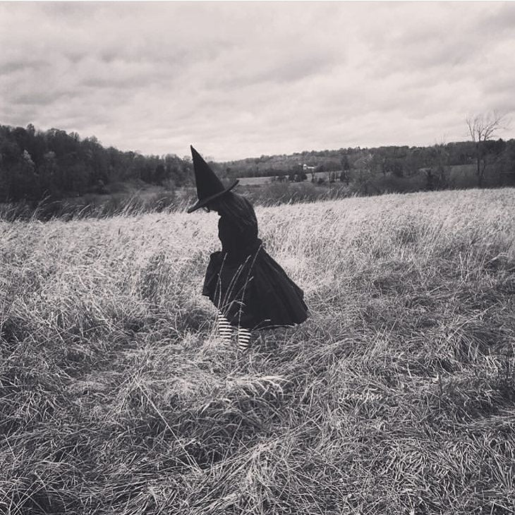 Midweek Magic & Growing Kittens: A Witchy Wednesday Blessing