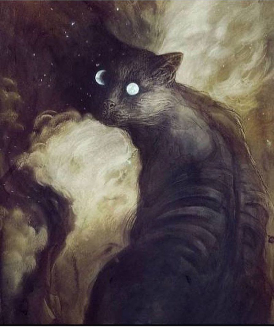Magick and Mystery: The Enchanting Power of the Black Cat
