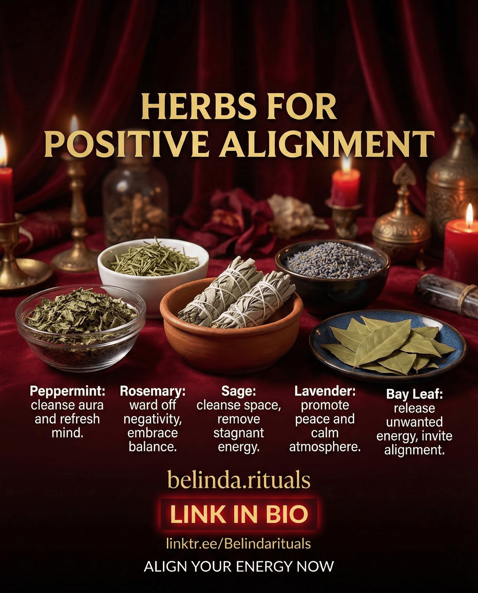 Harnessing Positivity with Magickal Herbs for Energy Cleansing