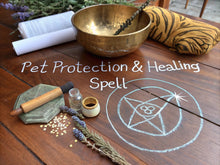 Load image into Gallery viewer, Pet Protection & Healing Spell - We Love Spells