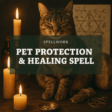 Load image into Gallery viewer, Pet Protection & Healing Spell - We Love Spells