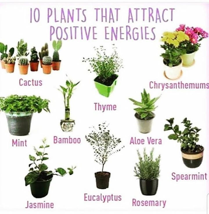 Inviting positive energy into home. - We Love Spells