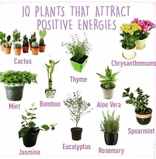 Inviting positive energy into home. - We Love Spells