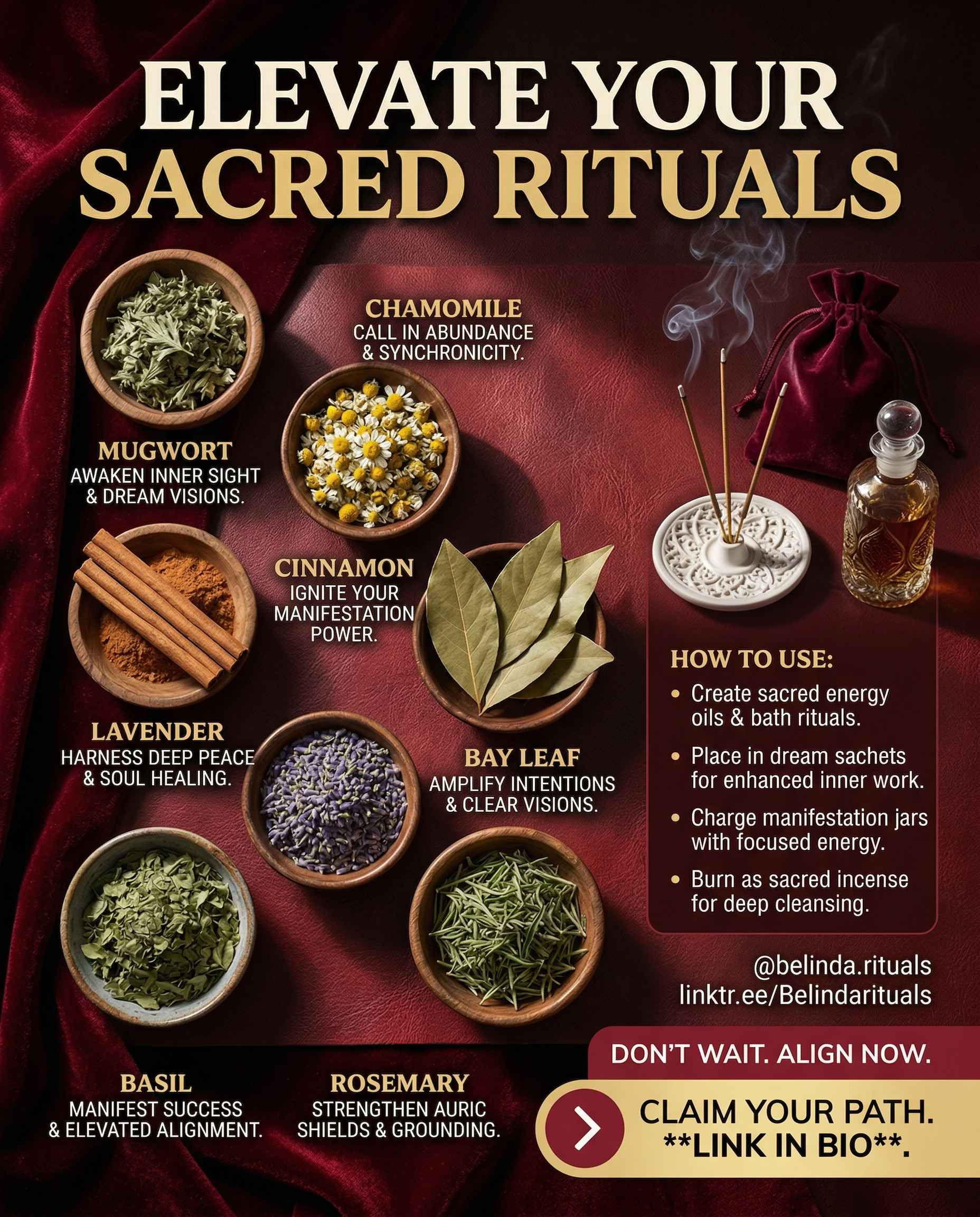 7 Powerful Herbs to Amplify Your Magick and Strengthen Your Spells