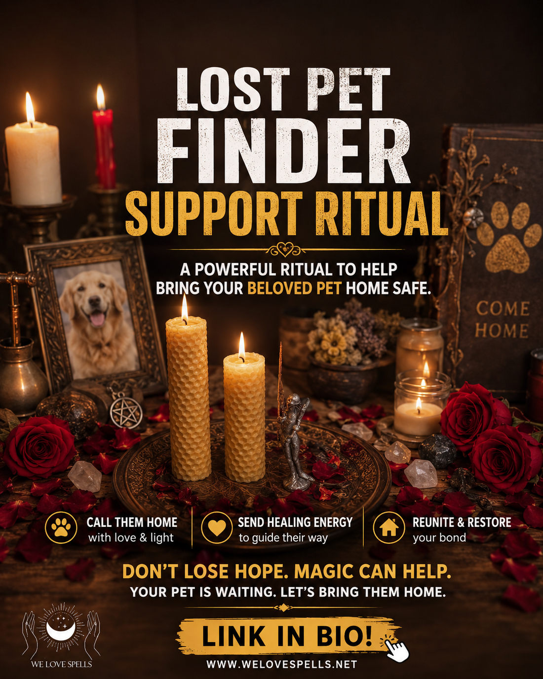 Lost Pet Finder Support Ritual