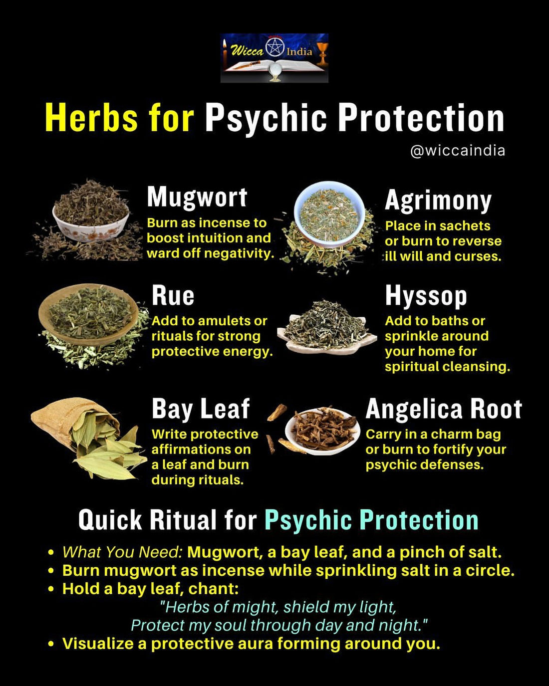 Top 7 Powerful Herbs for Psychic Protection and Aura Shielding