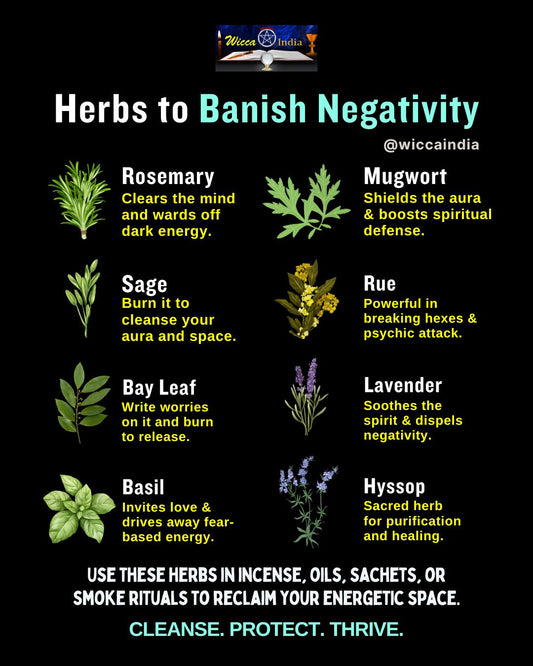 Powerful Herbs to Banish Negativity and Invite Light into Your Space