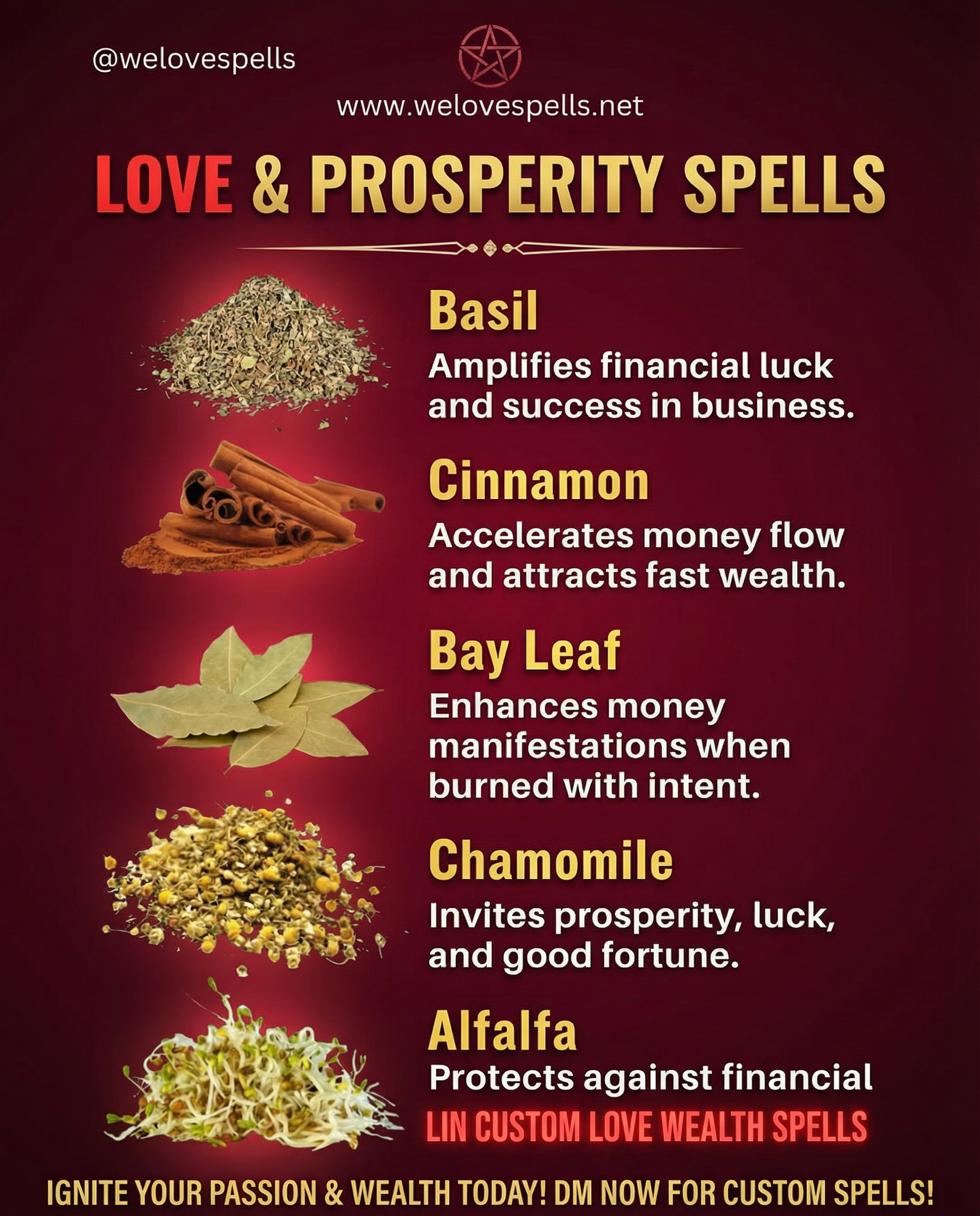 Powerful Money-Attracting Herbs for Prosperity and Abundance Spells