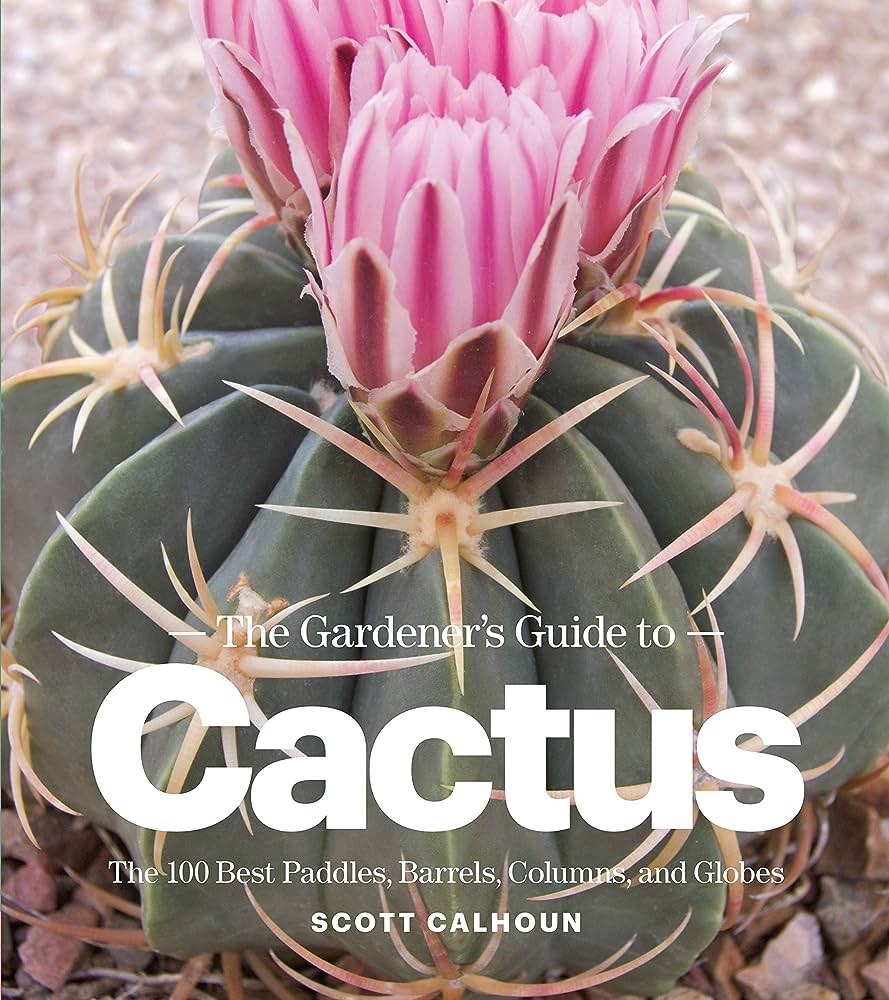 A Comprehensive Guide to Cactus and its Magical Properties