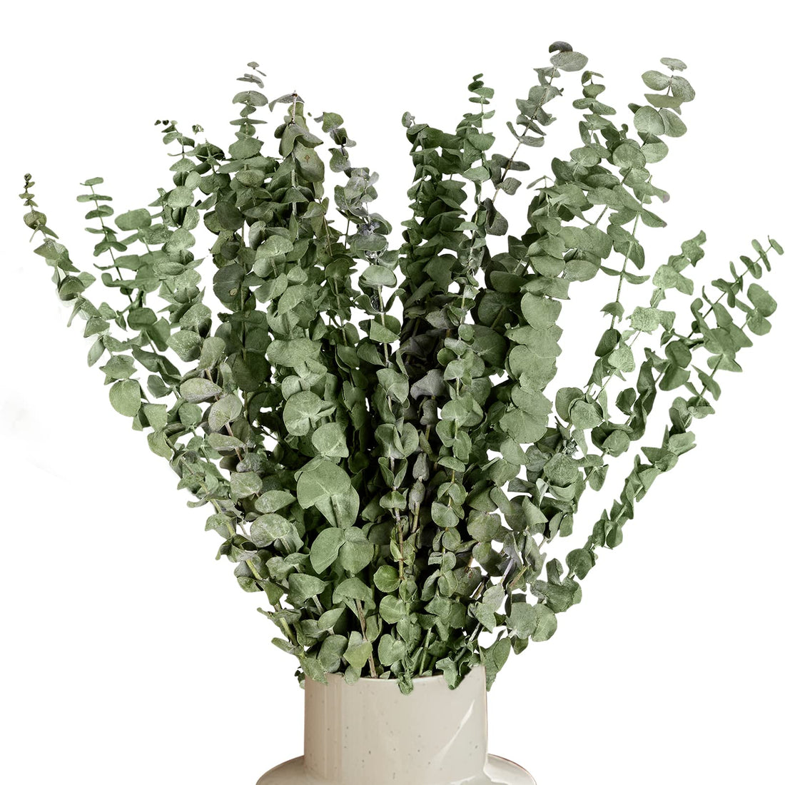 Eucalyptus Shower Spirit Spell - We Love Spells