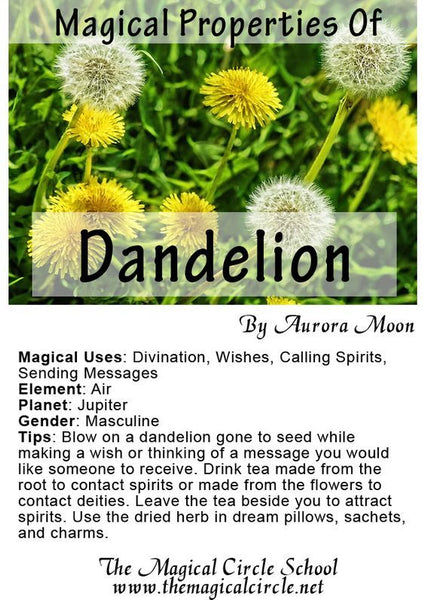 How to Prepare Dandelions for Magical Use