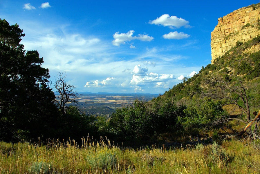 Sagebrush: Ancient Ceremonies and Spiritual Practices