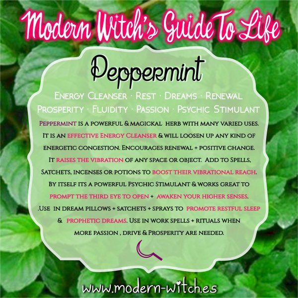 The Ancient Uses and Magickal Properties of Peppermint