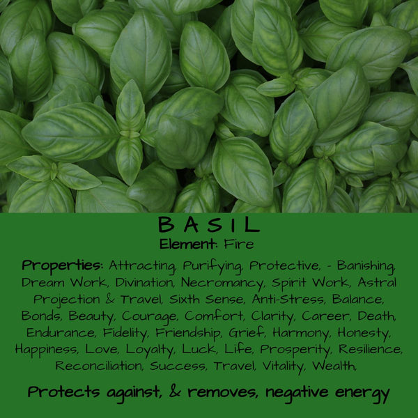 The Magical Properties of Basil