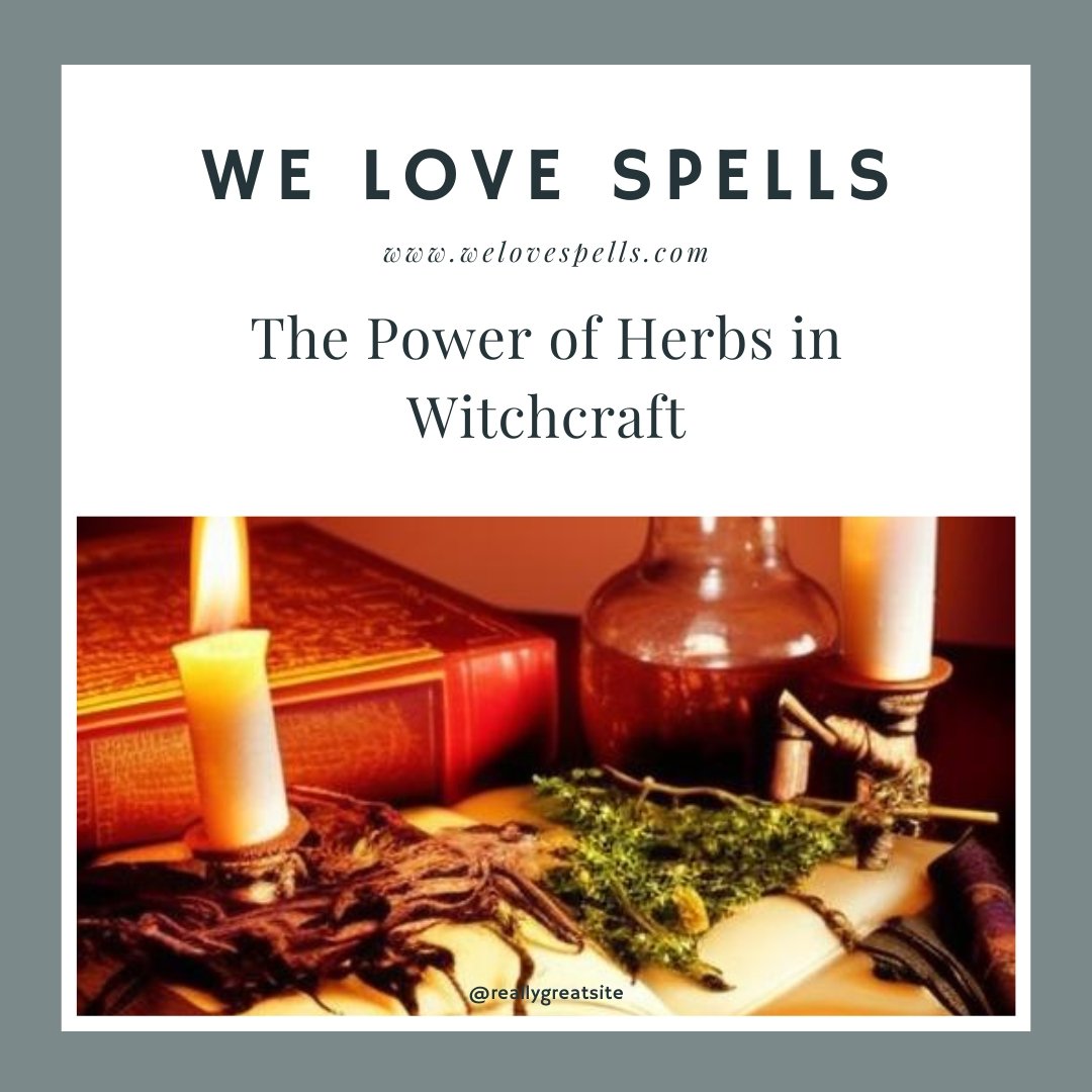 The Power of Herbs in Witchcraft: A Beginner's Guide to Herbal Magic - We Love Spells