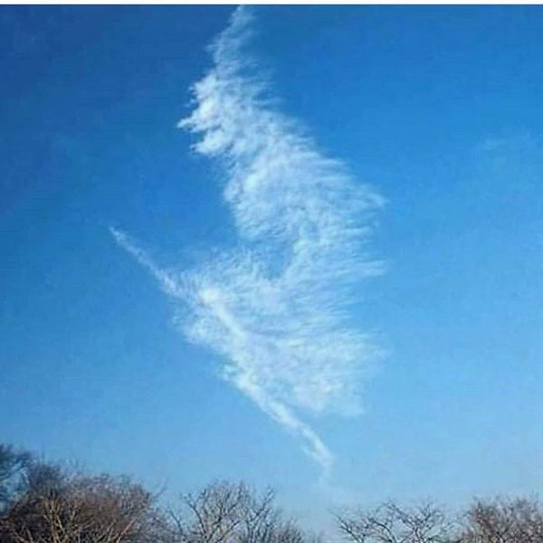 Feeling the Samhain Energy: Embracing Autumn’s Magical Vibes