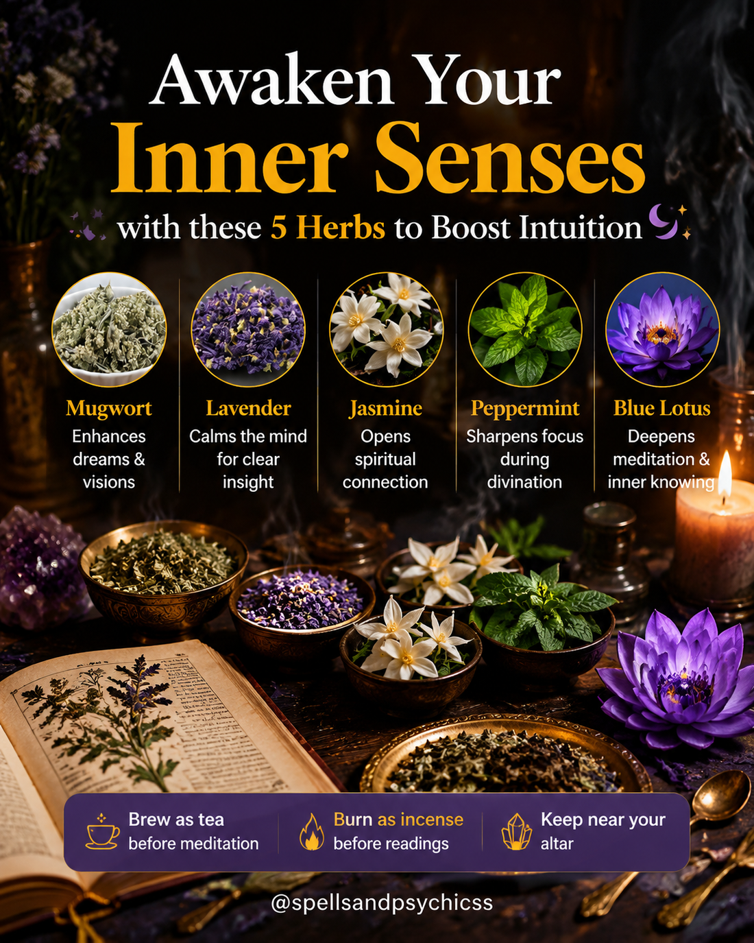 5 Magical Herbs to Awaken Your Intuition and Enhance Psychic Awareness