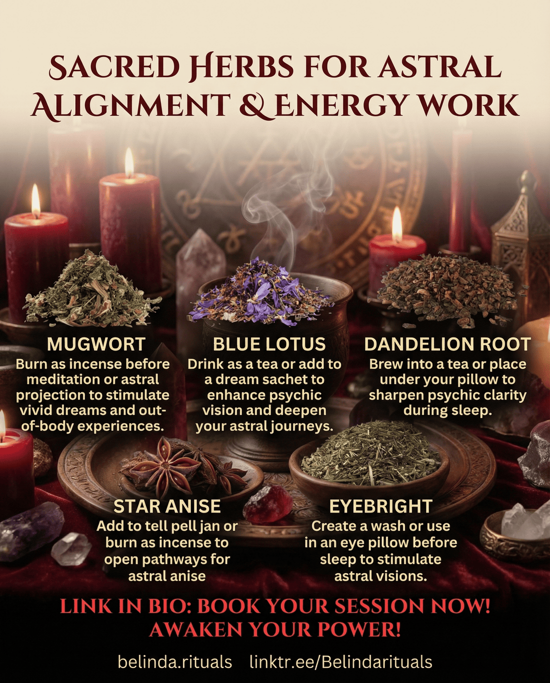 Herbs for Astral Vision: Unlock Psychic Awareness and Higher Consciousness - We Love Spells