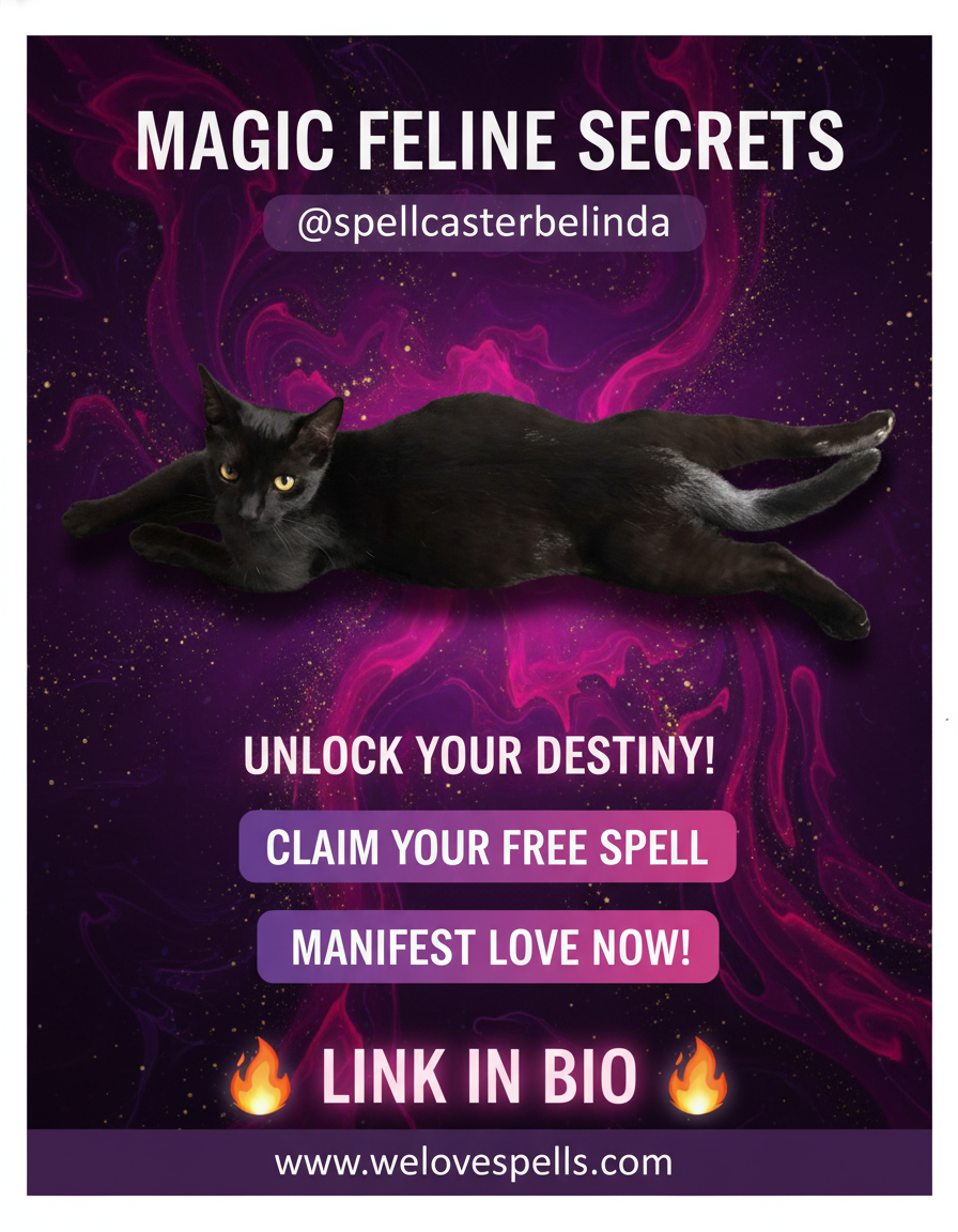 Little Luna’s Surprise: Our Magical Black Cat Is Expecting Kittens