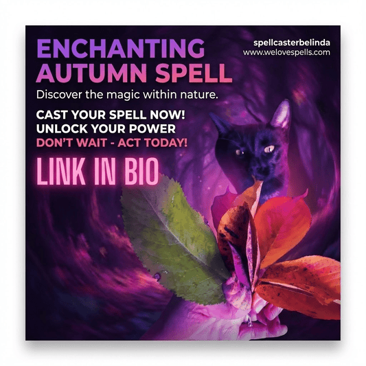 Keeping Luna Safe: Indoor Adventures for a Curious Black Cat - We Love Spells