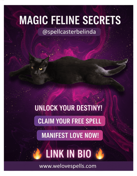 Little Luna’s Surprise: Our Magical Black Cat Is Expecting Kittens