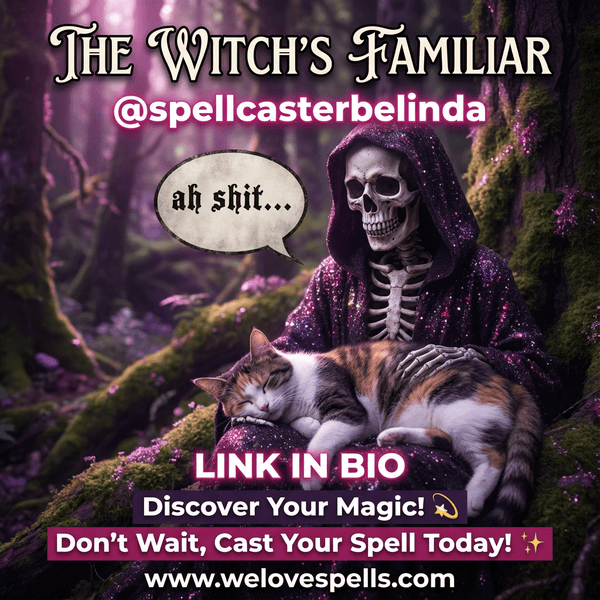 Luna and Her Little Moons: A Bittersweet Tale of Black Cat Magic