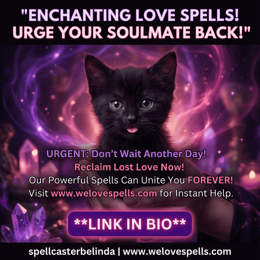 Meet Little Salem: Our Magical Black Kitten Joins Mama Luna’s Home - We Love Spells