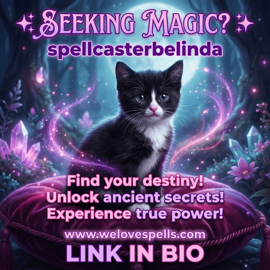 Meet Our Magical Trio: Keeping Merlin and Salem in Our Witchy Family - We Love Spells