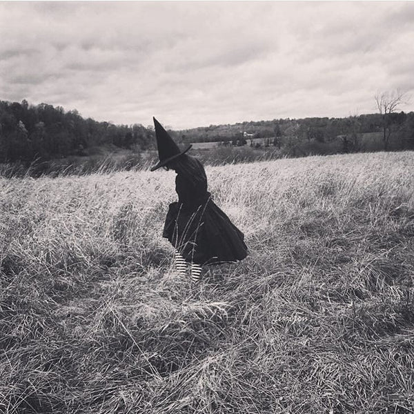 Midweek Magic & Growing Kittens: A Witchy Wednesday Blessing