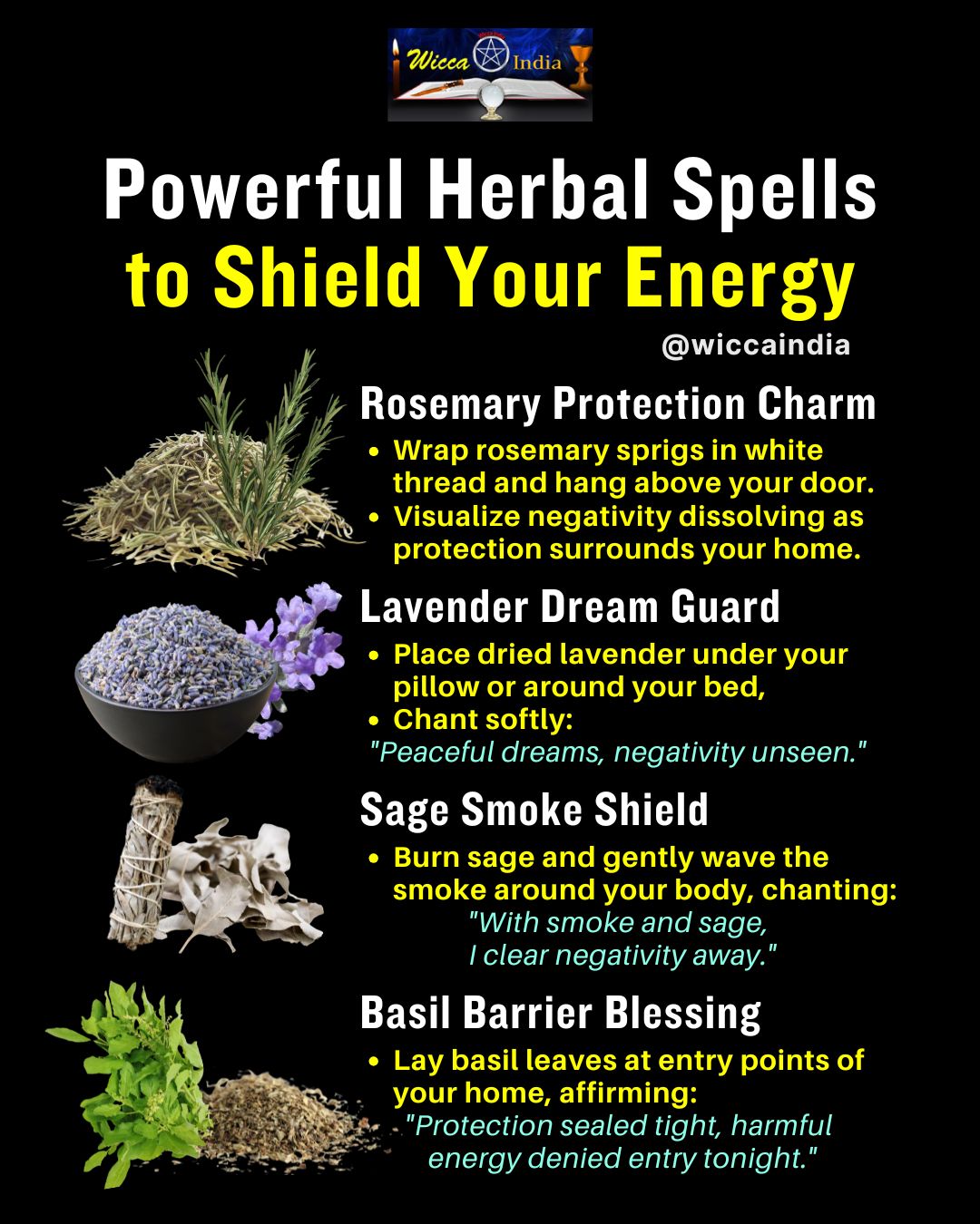Natural Energy Protection: Powerful Herbal Spells for Beginners - We Love Spells