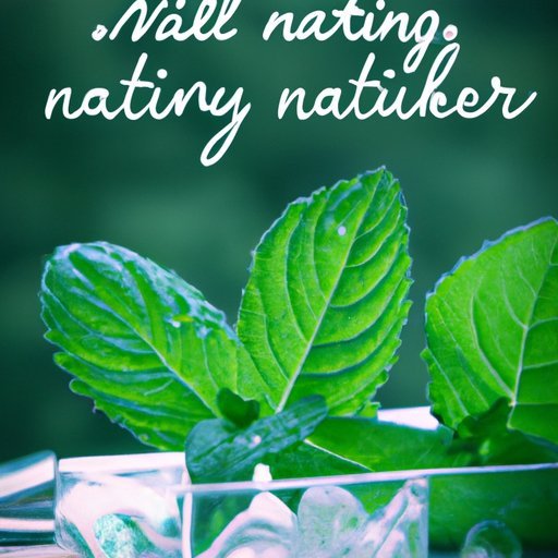 The Magical Properties of Spearmint - We Love Spells