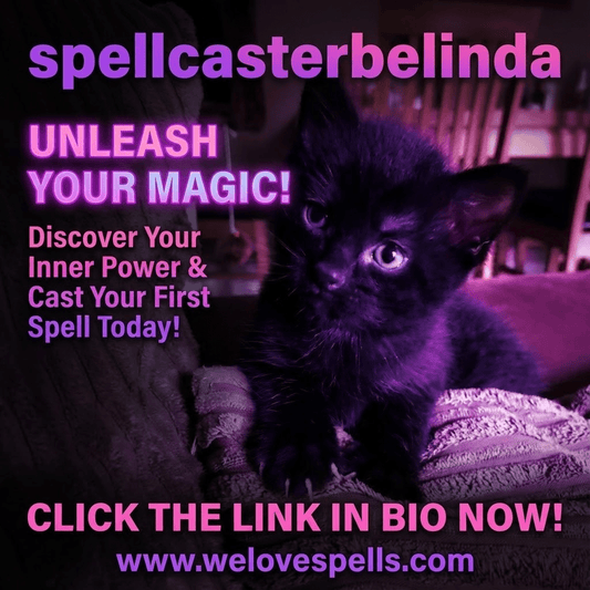 The Many Faces of Salem: A Black Cat’s Magick and Witchy Charm - We Love Spells