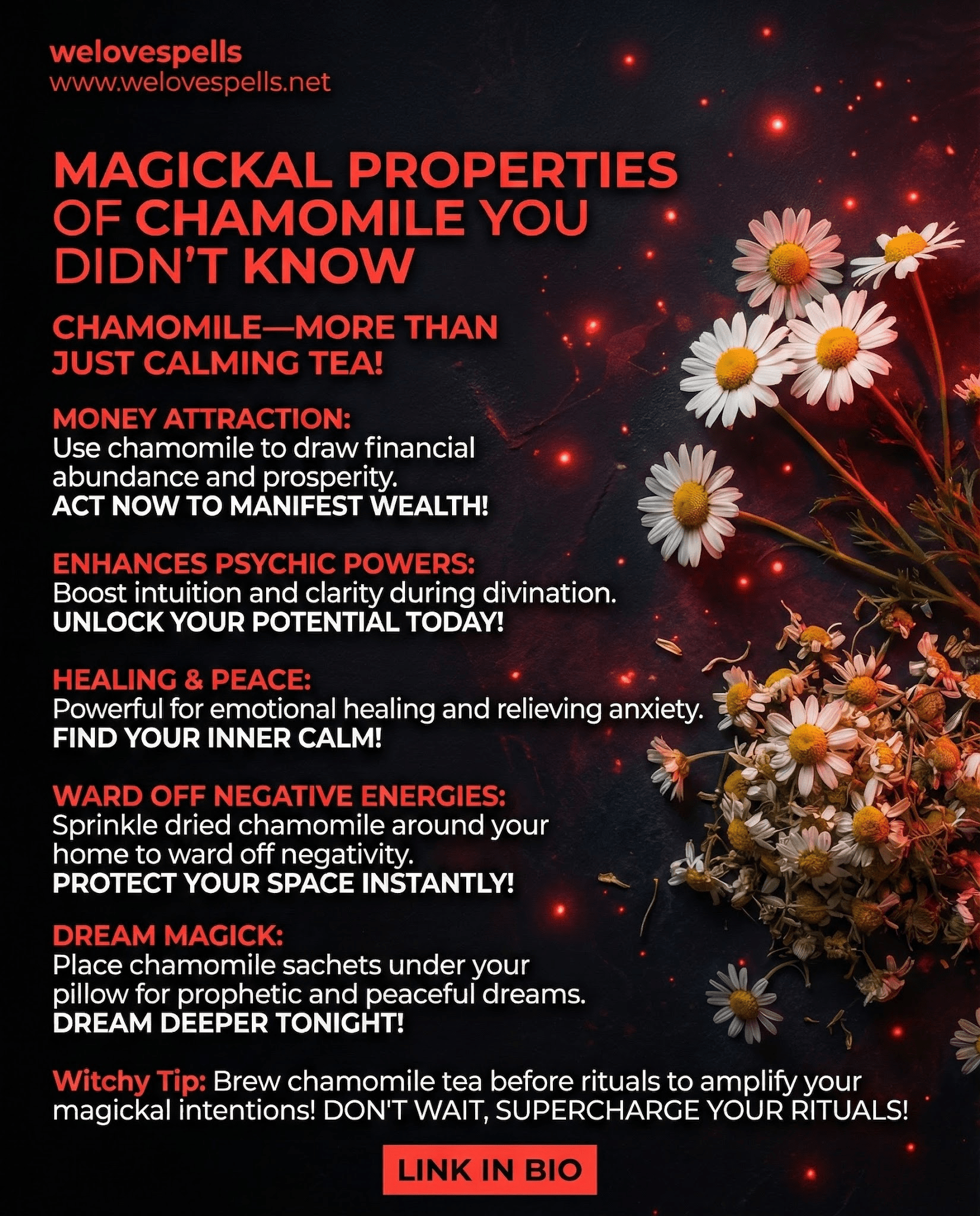 Unlock the Hidden Magick of Chamomile for Healing and Protection