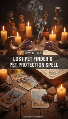 Lost Pet Finder & Pet Protection Spell - We Love Spells